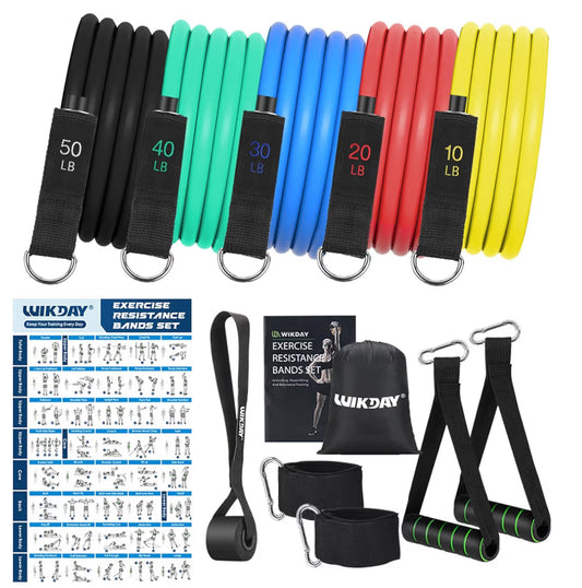 Bandas de Ejercicio (Exercise Bands)