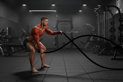 (1) Cuerda de 30ft (1) 30ft Battle Rope)