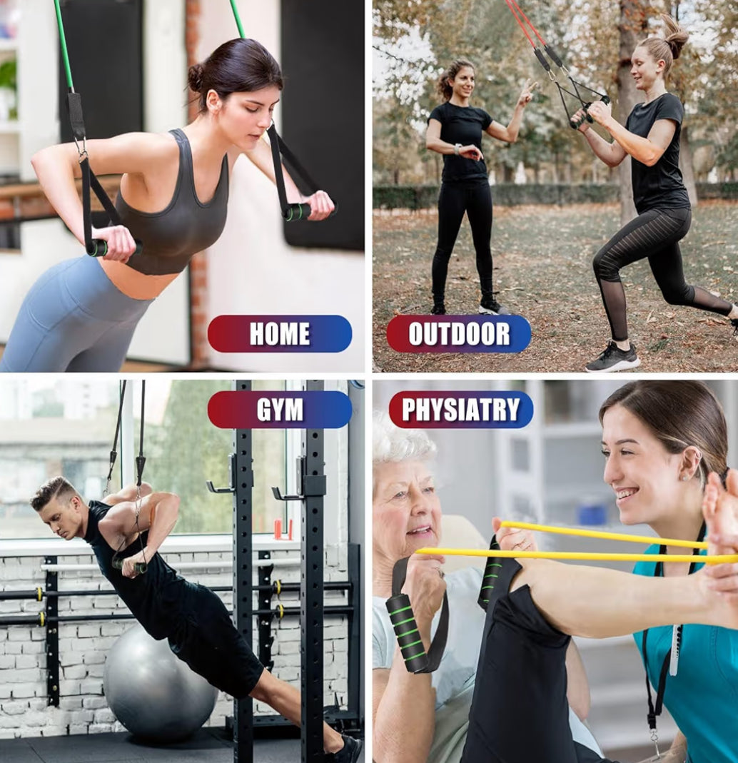 Bandas de Ejercicio (Exercise Bands)